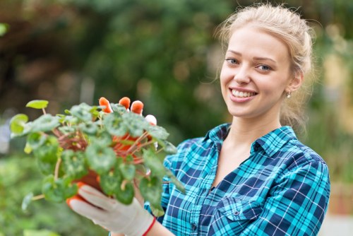 Professional tree lopping service in Hackney