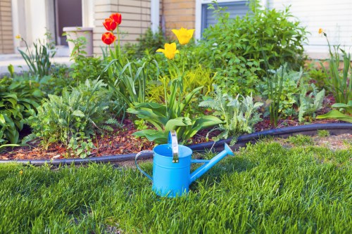 Eco-friendly landscaping trends in Hackney
