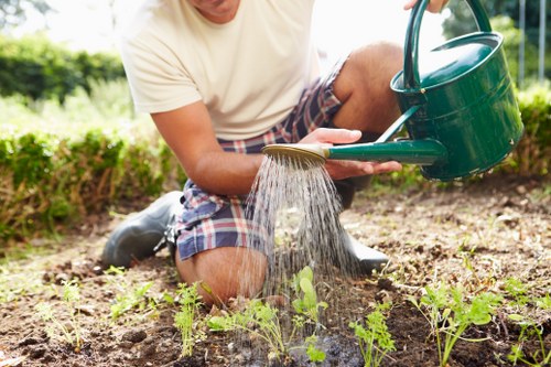 Hardscaping features in an urban Hackney garden