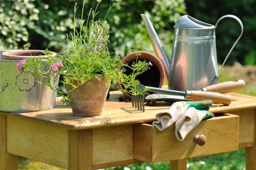 Pruning tools and healthy plants in a Hackney garden