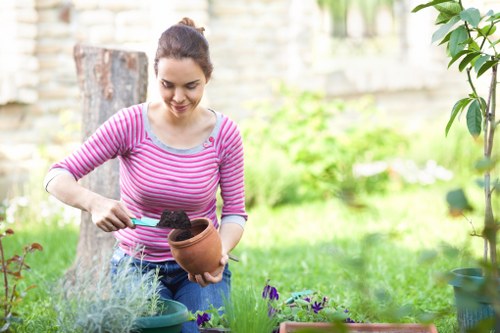 Customized lawn care solutions in Hackney