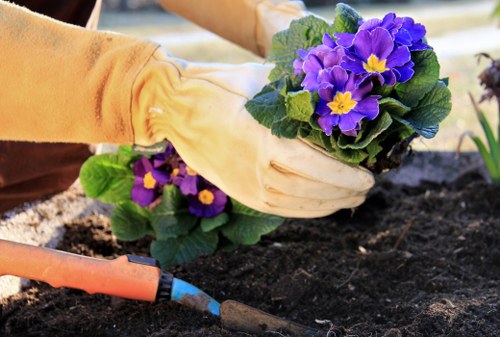 Eco-friendly garden clearance practices in Hackney