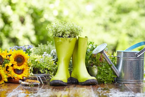 Healthy green lawn maintained in Hackney