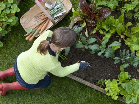 Home gardener in Hackney watering plants in a lush garden