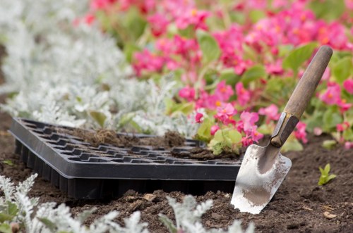 Professional lawn mowing service in Hackney
