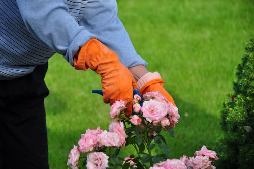 Professional gardener tending to a thriving Hackney garden