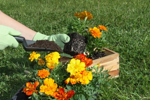 Seasonal maintenance in a Hackney outdoor space