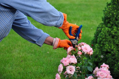 Eco-friendly tree maintenance practices