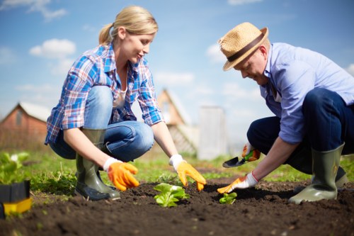Our dedicated team providing lawn care