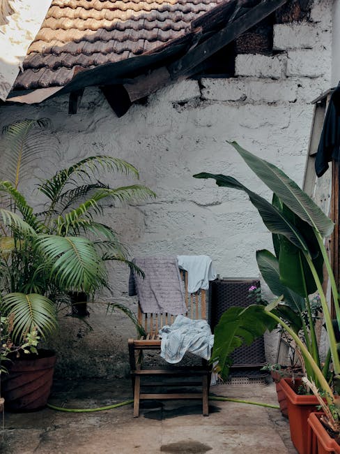 A small courtyard garden featuring a weathered white brick wall with some visible cracks and a tiled roof overhead. On the ground, there is a concrete surface with a yellow garden hose coiled along th