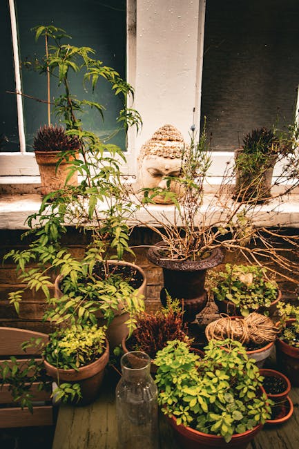 A small courtyard garden featuring a weathered white brick wall with some visible cracks and a tiled roof overhead. On the ground, there is a concrete surface with a yellow garden hose coiled along th