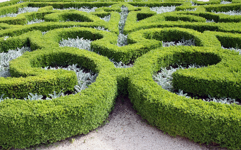 patio design garden